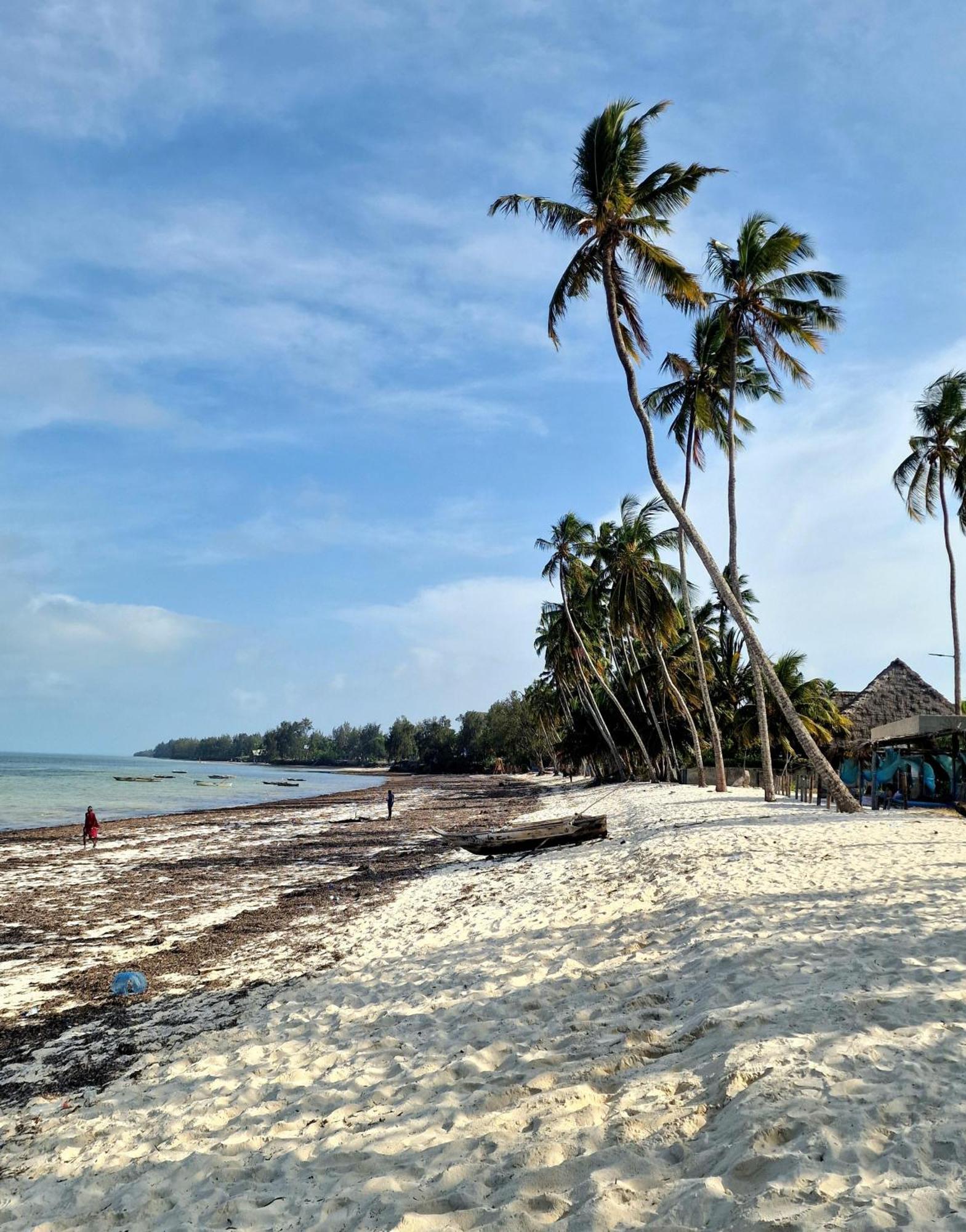 Zanzibar - Sumo - Appartement